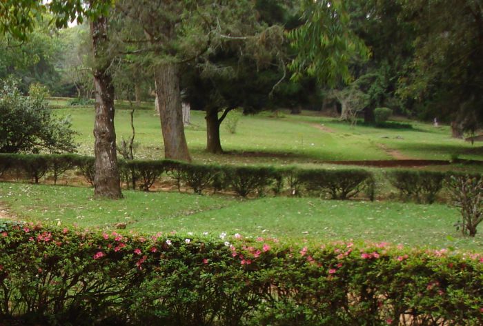 Beautiful garden