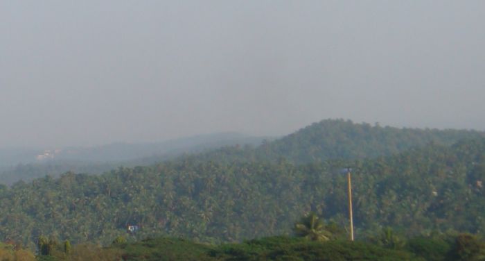 Tree clad hillocks and the sky