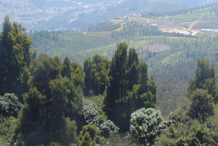 Mountain paths and landscape