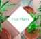 Fruit plants